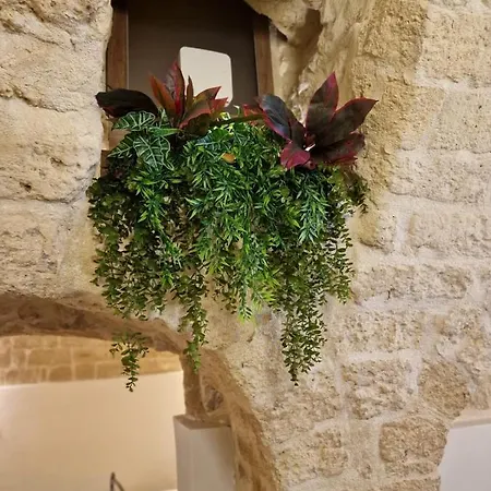 Fico D'india Apartment Bari