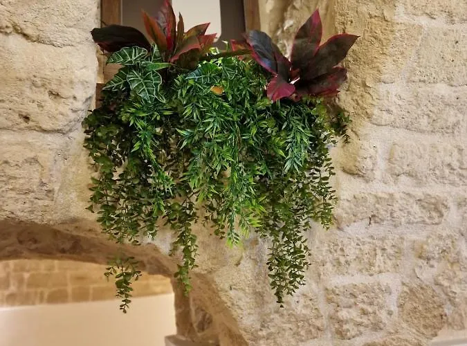 Fico D'india Apartment Bari