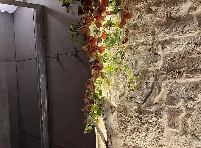 Fico D'india Apartment Bari